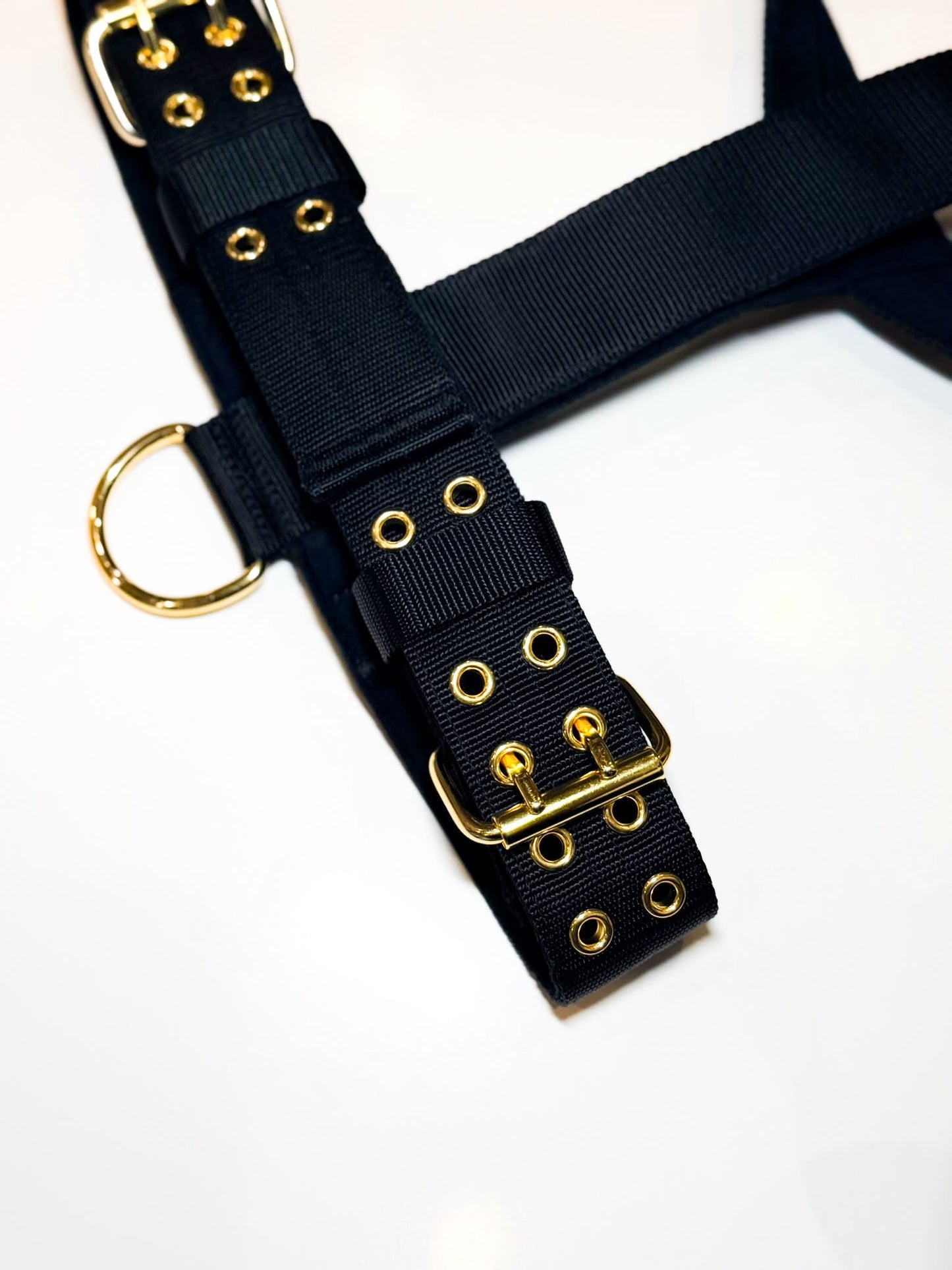 Premium Hundegeschirr – 4-lagig | 5 cm breit | Für starke Hunde