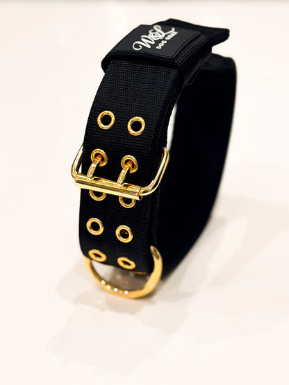 Premium Hundehalsband – 4-lagig | 5 cm breit | Für starke Hunde