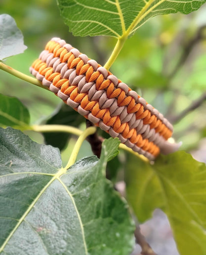 Halsband CORE individuell erstellen