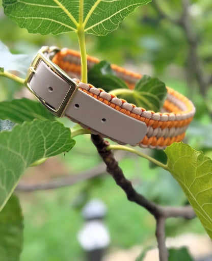 Halsband CORE individuell erstellen