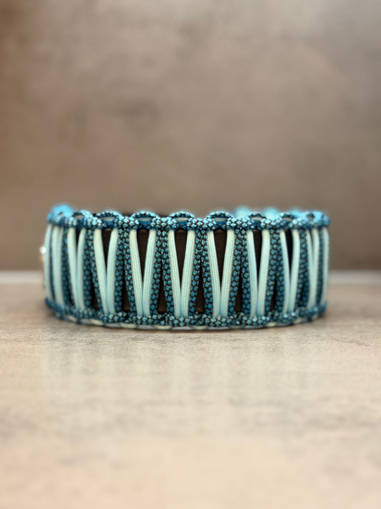 Biothane X Paracord Cobra 38 mm Halsband individuell erstellen