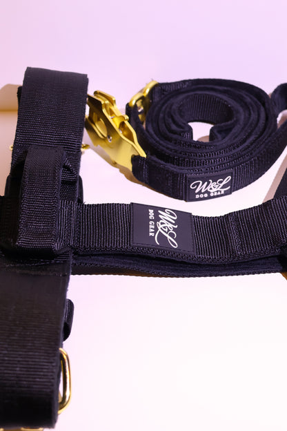 Premium Kollektion Halsband SET – 4-lagig | 5 cm breit | Für starke Hunde