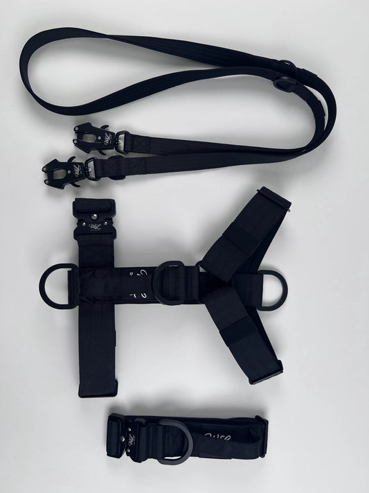 Taktisches Halsband,Geschirr,Leinen SET - (Sonderaktion) Schwarz