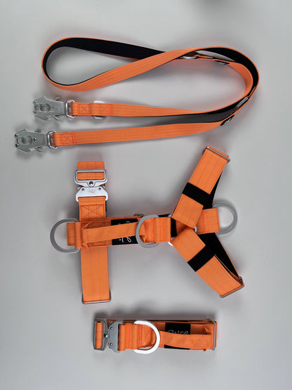 Taktisches Halsband,Geschirr,Leinen Set - (Sonderaktion)