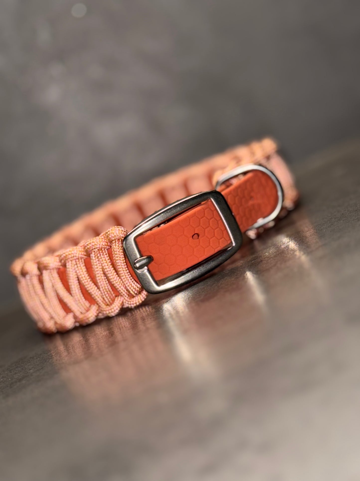 Biothane X Paracord Cobra 20 mm Halsband individuell erstellen
