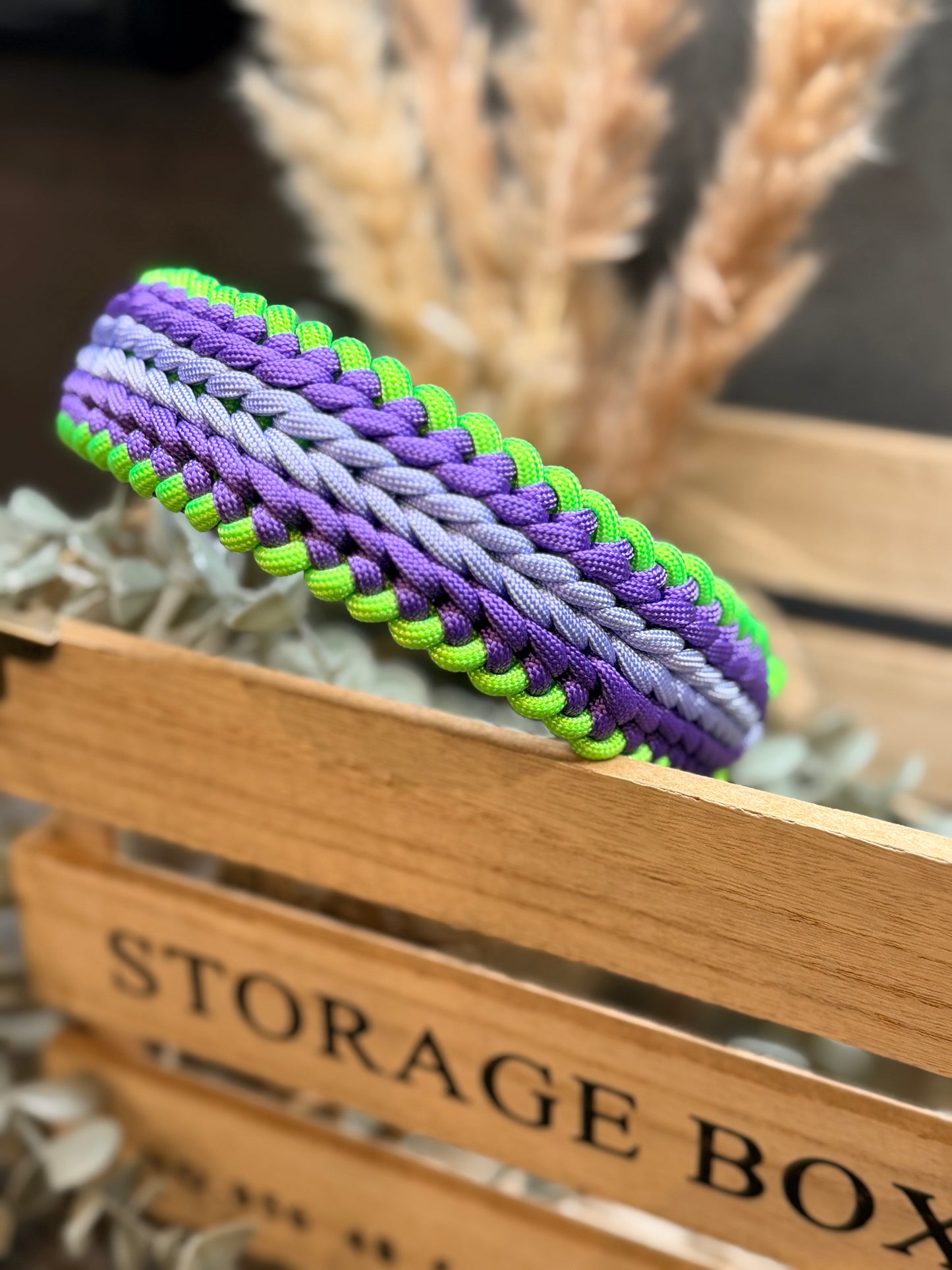 Halsband RAIL individuell erstellen