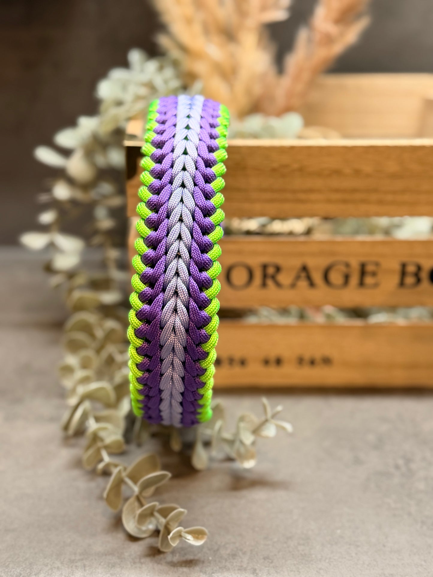Halsband RAIL individuell erstellen