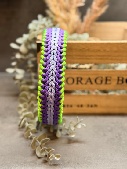 Halsband RAIL individuell erstellen