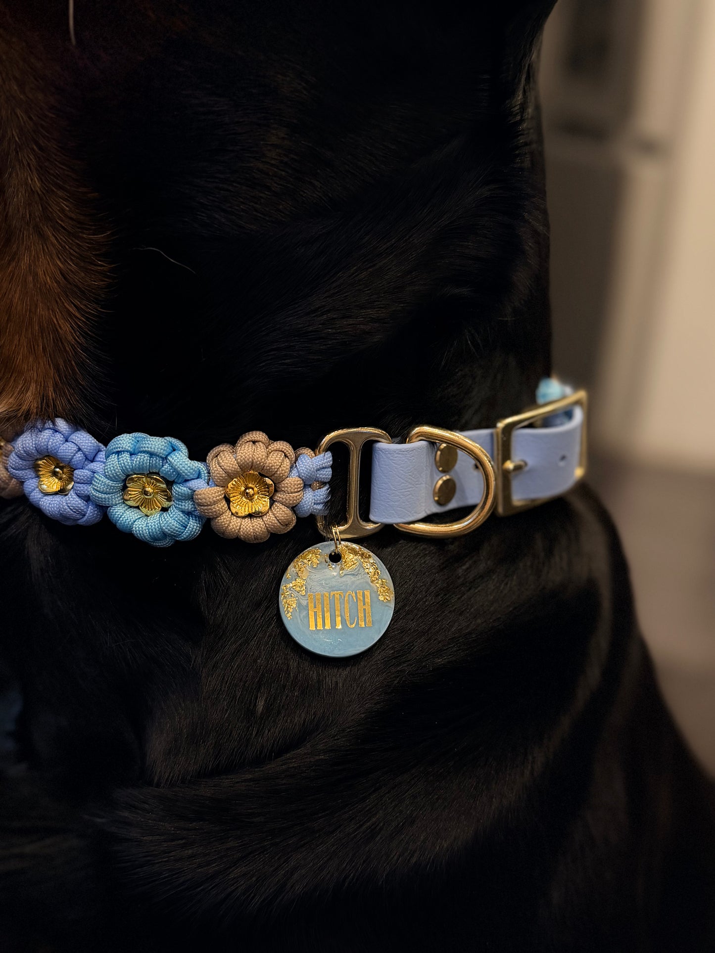 Blümchen Halsband individuell erstellen